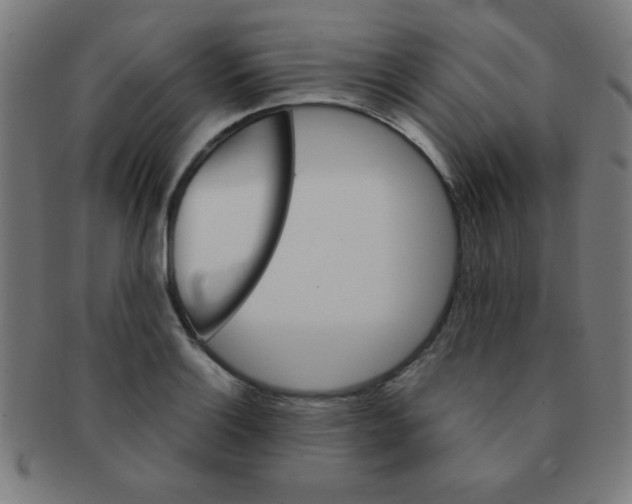 X0000091341132200708241217