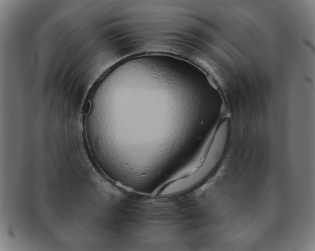 X0000091341133200708241217