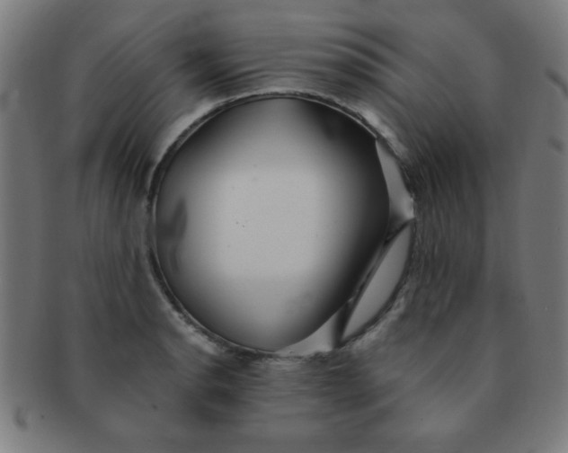 X0000091341134200708241217