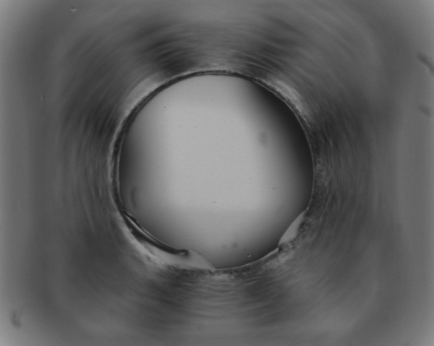 X0000091341135200708241217