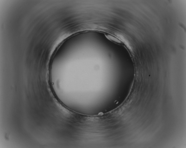 X0000091341136200708241217