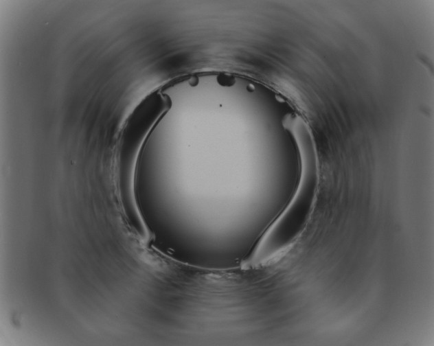 X0000091341138200708241217