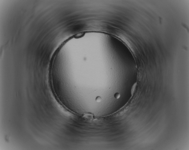 X0000091341139200708241217