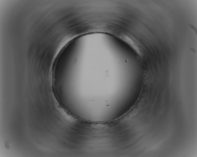 X0000091341140200708241217