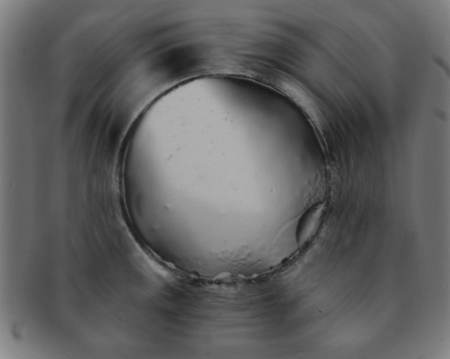 X0000091341141200708241217