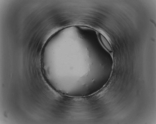 X0000091341142200708241217