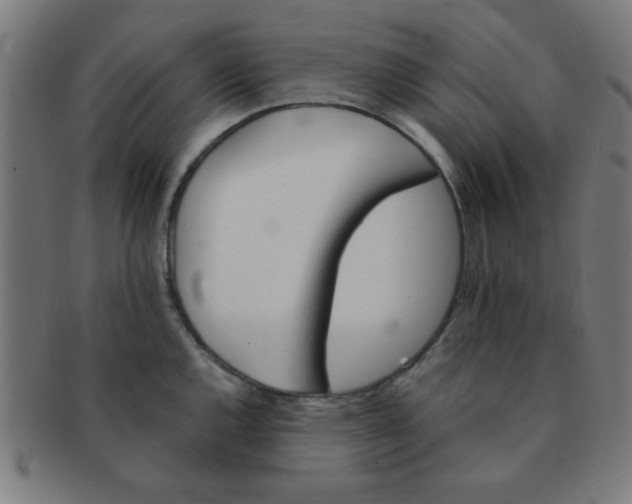 X0000091341144200708241217