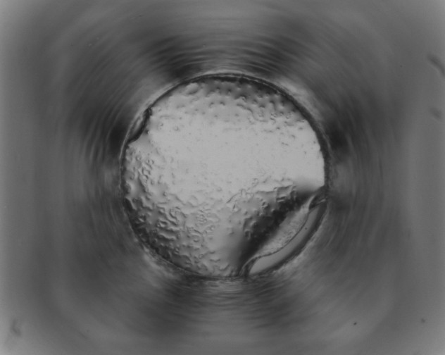 X0000091341145200708241217