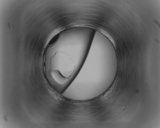 X0000091341146200708241217