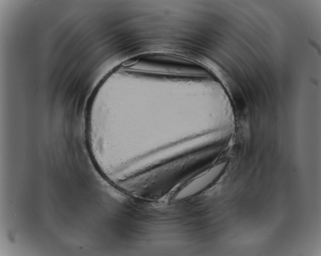 X0000091341147200708241217