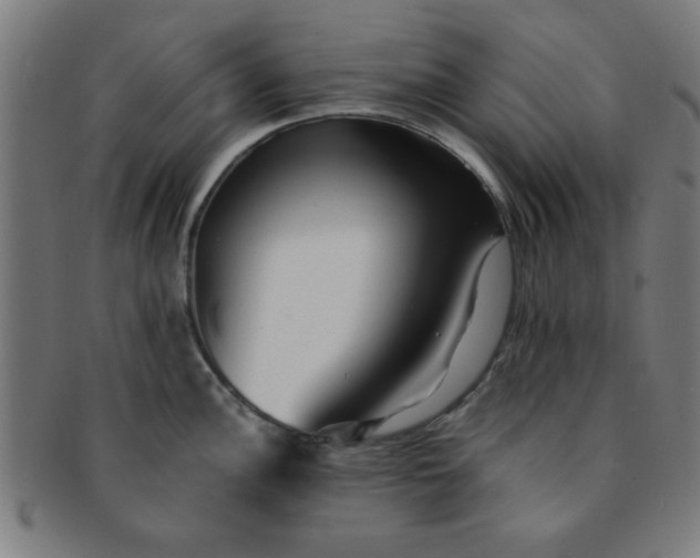 X0000091341148200708241217