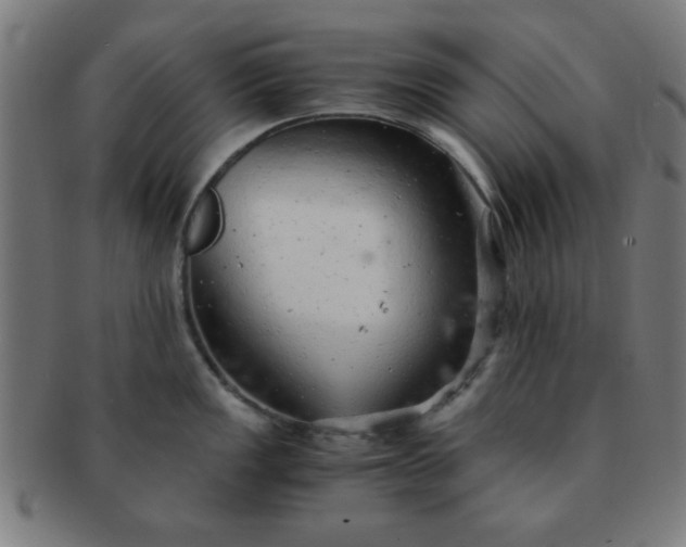 X0000091341149200708241217