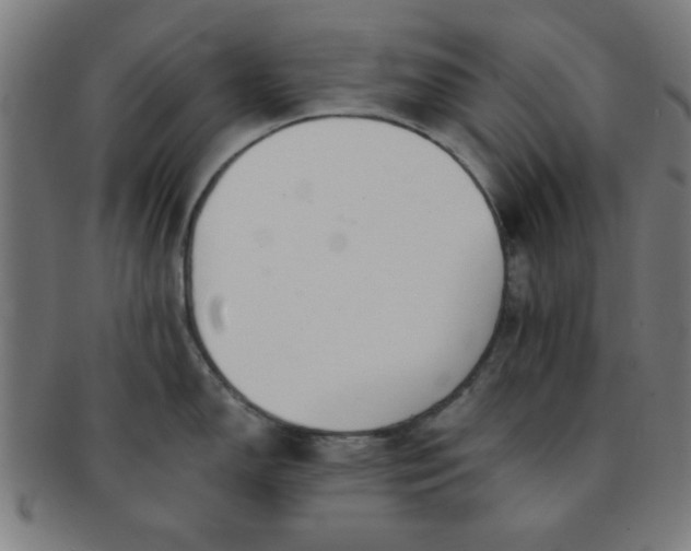 X0000091341150200708241217