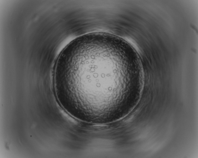 X0000091341151200708241217