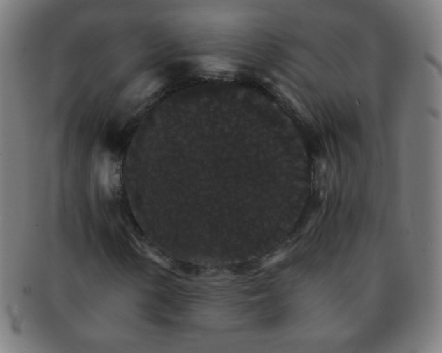 X0000091341154200708241217