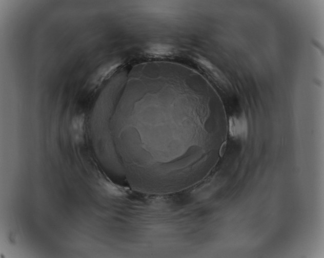 X0000091341155200708241217