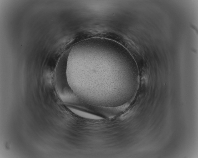 X0000091341156200708241217