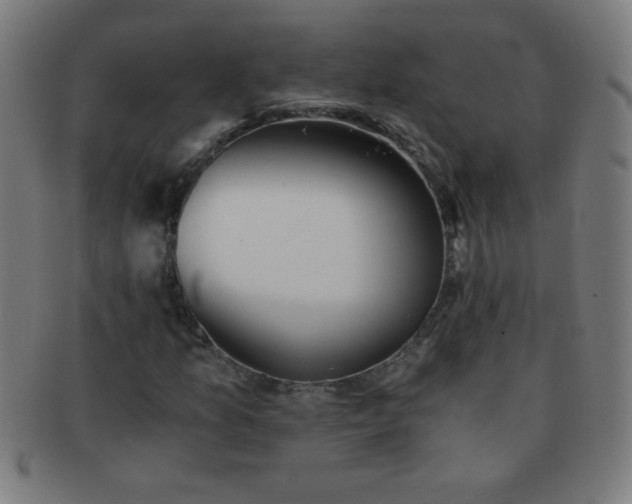 X0000091341157200708241217