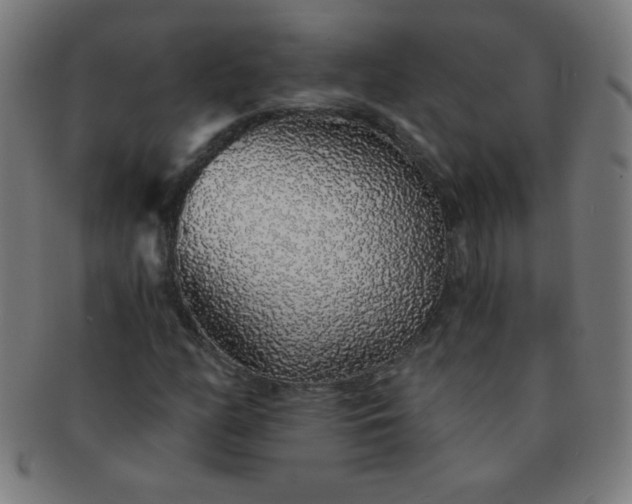 X0000091341158200708241217