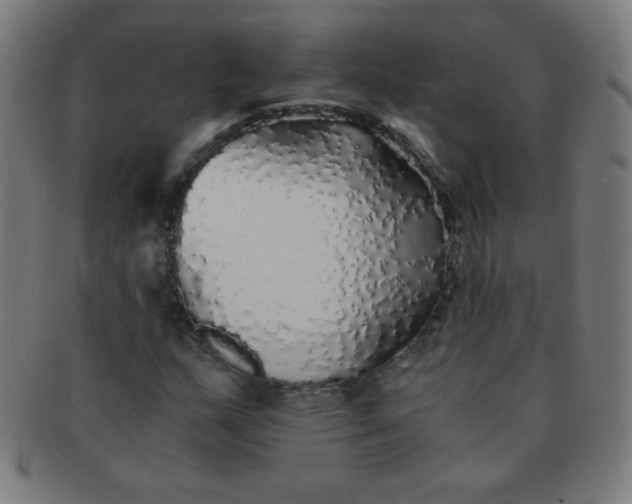 X0000091341159200708241217