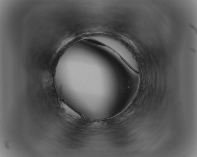 X0000091341160200708241217