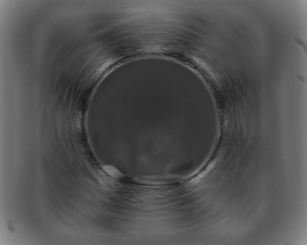 X0000091341161200708241217