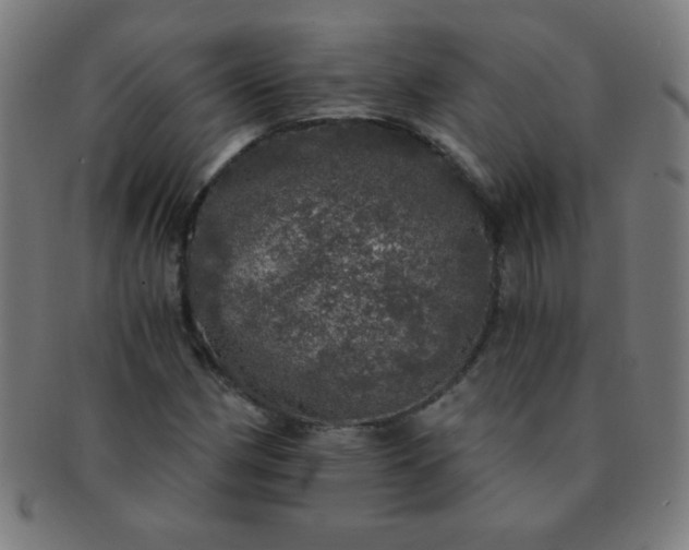 X0000091341162200708241217