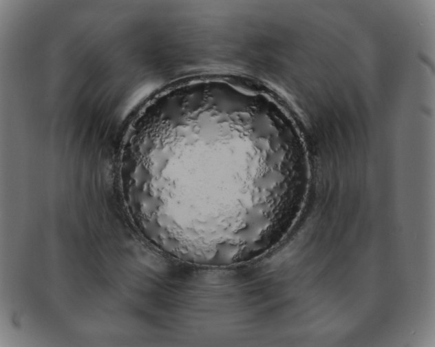 X0000091341163200708241217