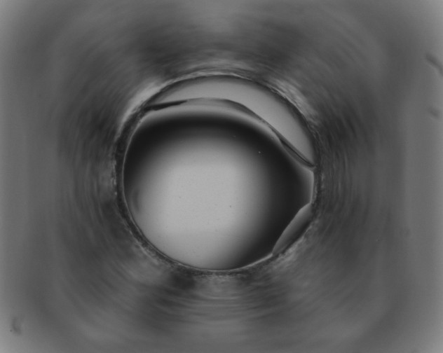 X0000091341164200708241217