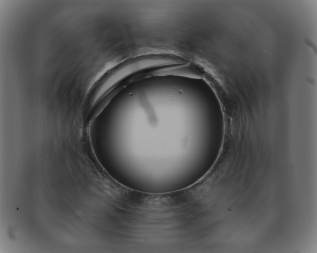 X0000091341165200708241216