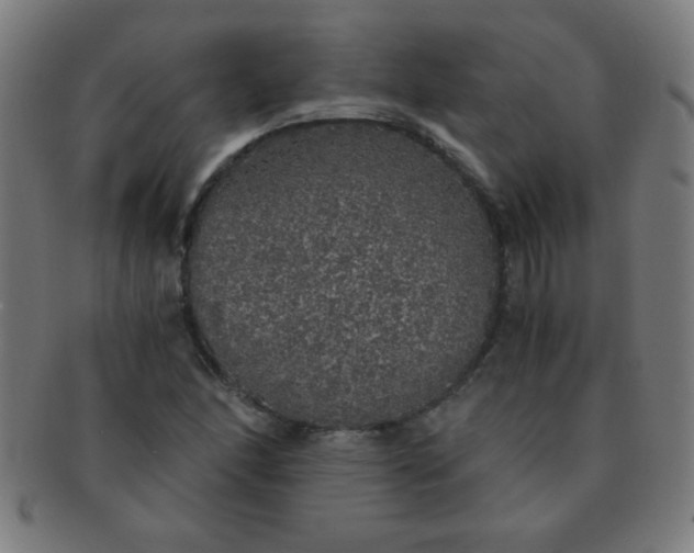 X0000091341166200708241216