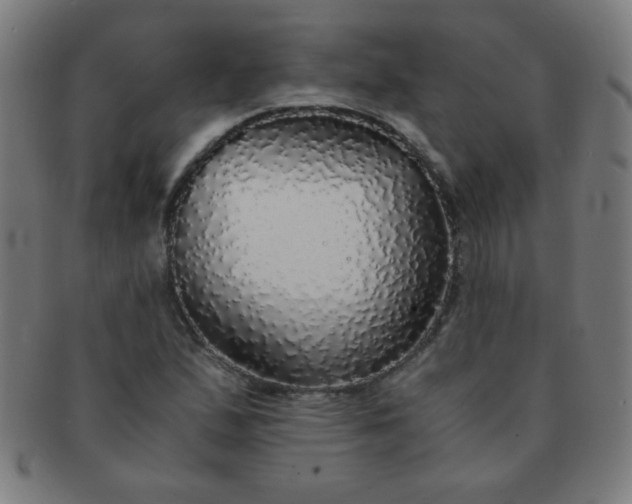 X0000091341167200708241216