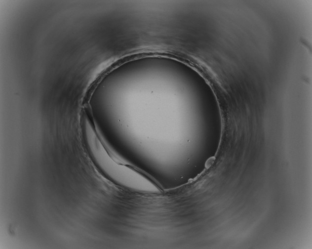 X0000091341168200708241216