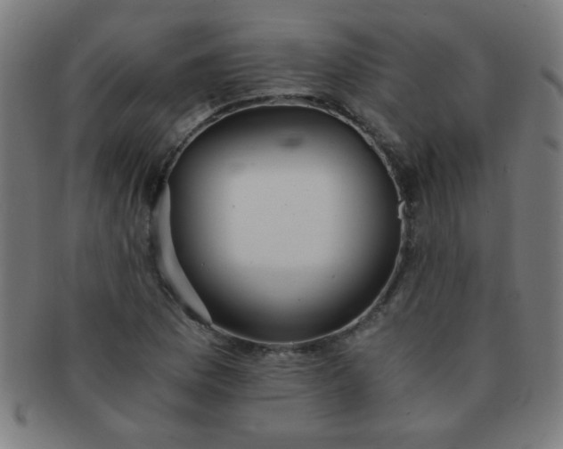 X0000091341169200708241216