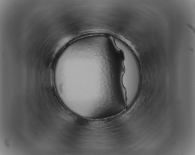 X0000091341171200708241216