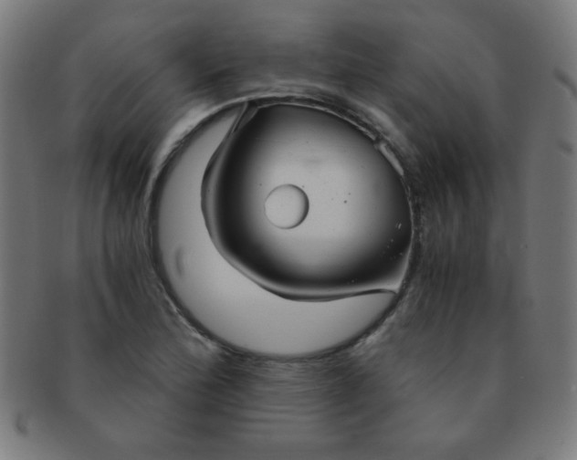 X0000091341172200708241216