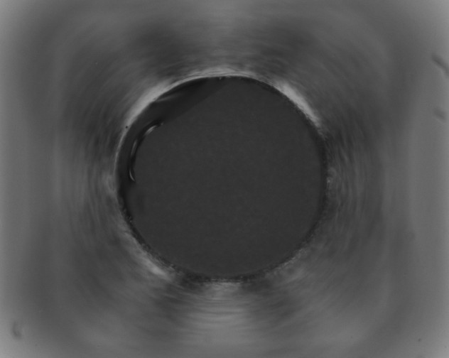 X0000091341173200708241216