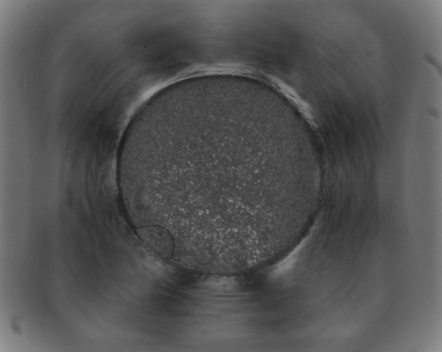 X0000091341174200708241216