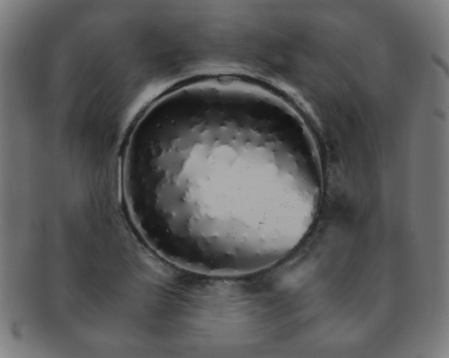 X0000091341175200708241216