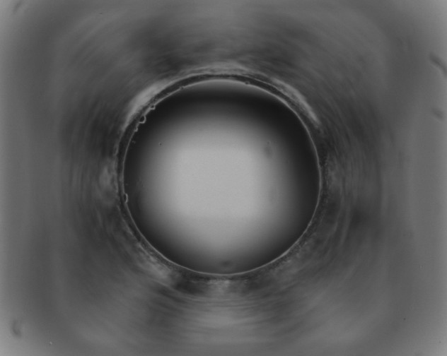 X0000091341176200708241216