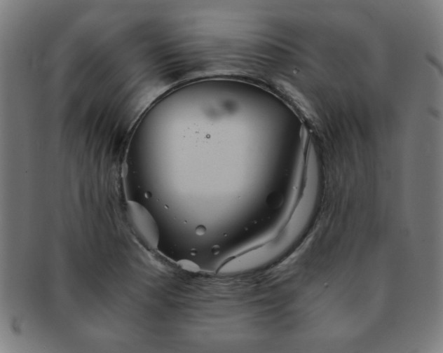 X0000091341177200708241216