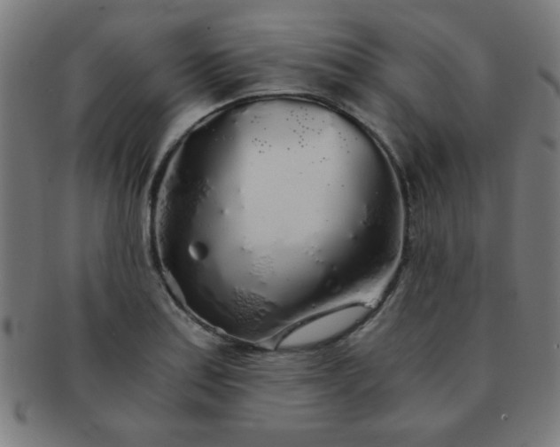 X0000091341179200708241216