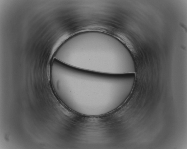 X0000091341180200708241216