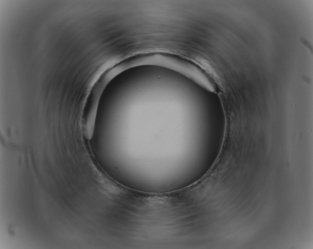 X0000091341181200708241216