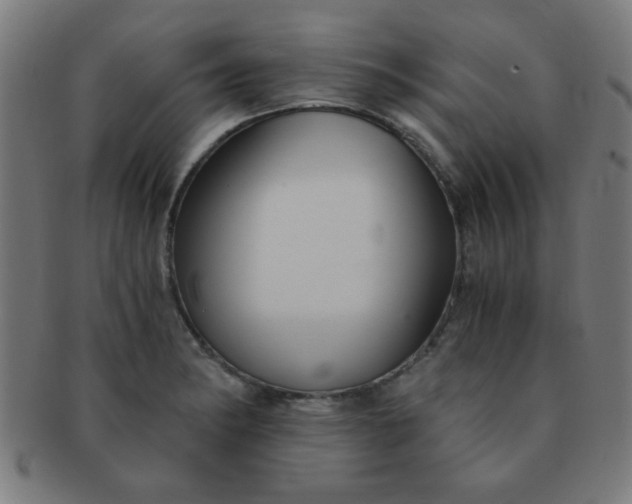 X0000091341182200708241216