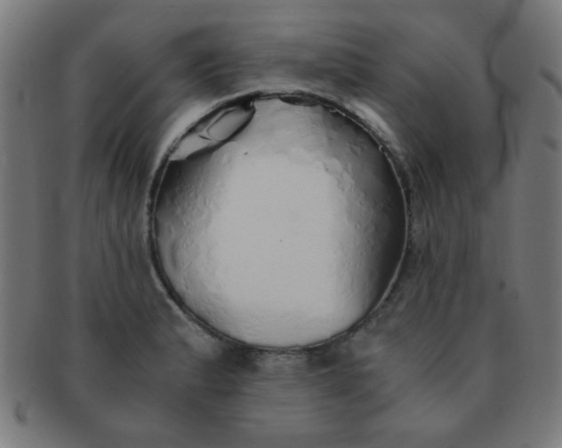 X0000091341183200708241216