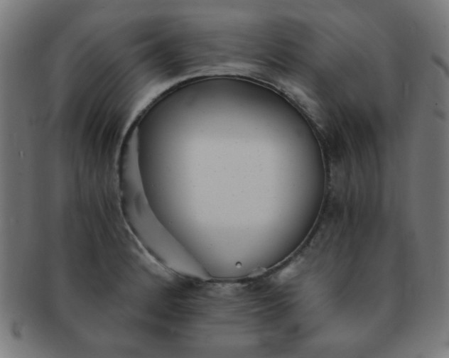 X0000091341184200708241216