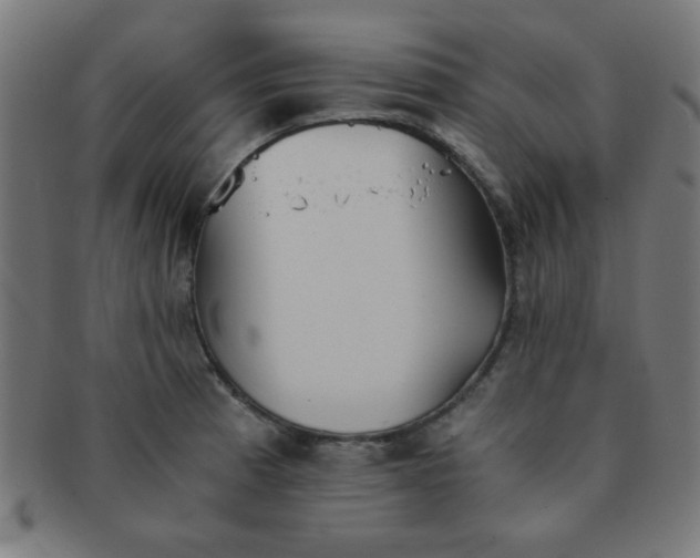 X0000091341185200708241216