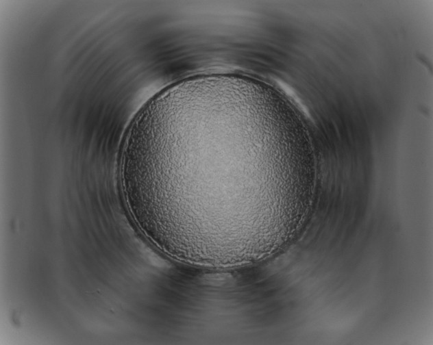 X0000091341186200708241216