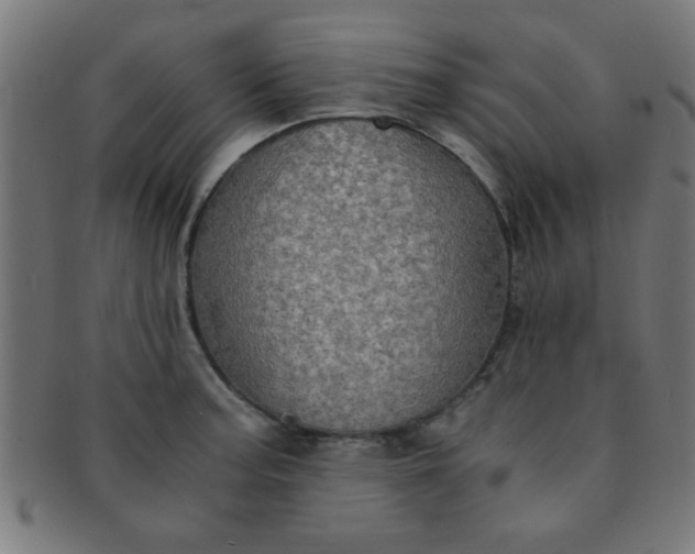 X0000091341187200708241216